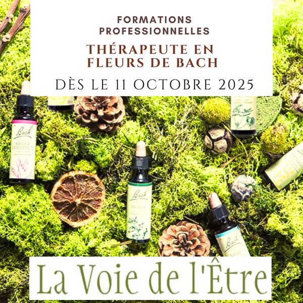 Thérapeute en Fleurs de bach