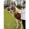 Praticienne de La Trame Animale