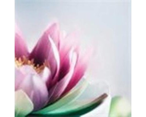 Bulle2zenitude